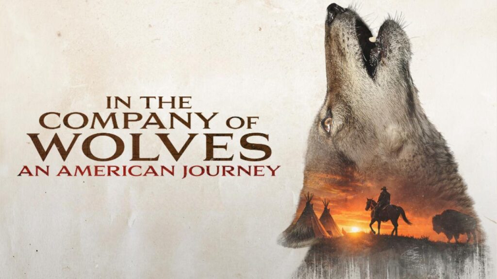 مشاهدة فيلم In The Company Of Wolves An American Journey 2026 مترجم  اونلاين